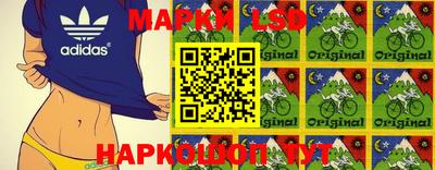 mdpv Донской