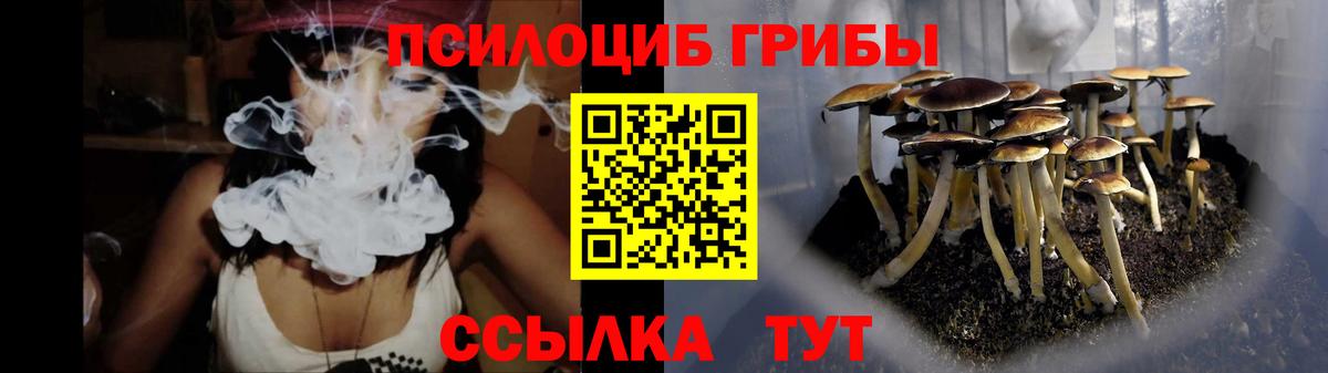 Псилоцибиновые грибы Cubensis Нововоронеж
